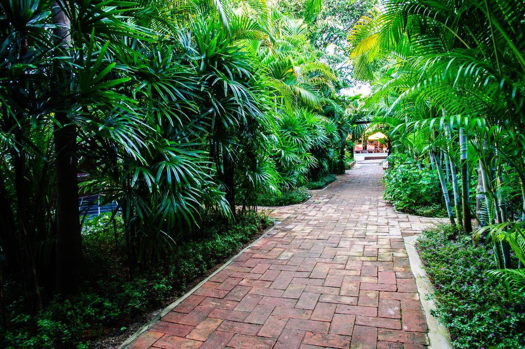 Baanpong Lodge San Kamphaeng Bagian luar foto